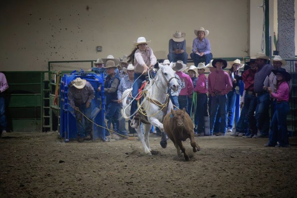 NSHSRA team roping