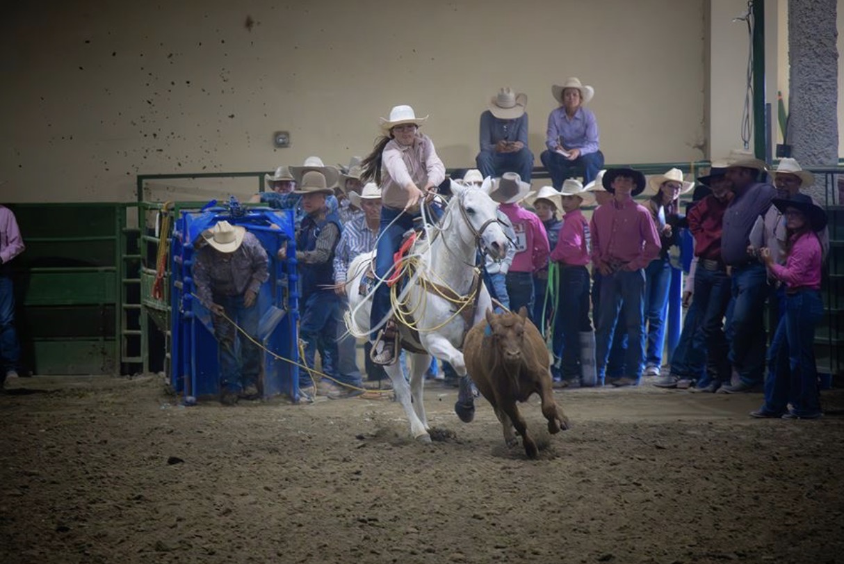 Breakaway roping